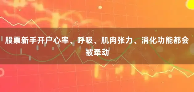 股票新手开户心率、呼吸、肌肉张力、消化功能都会被牵动